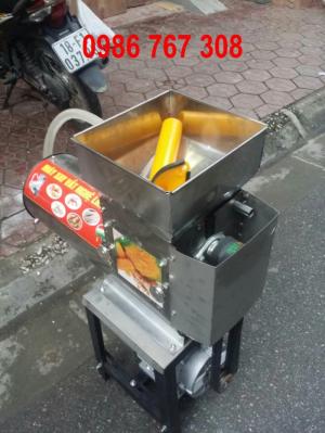 Máy xay vắt tinh bột nghệ INOX