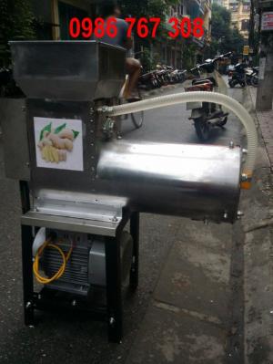 Máy xay vắt tinh bột nghệ INOX