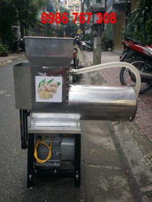Máy xay vắt tinh bột nghệ INOX