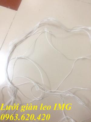 Lưới làm giàn leo cho cây