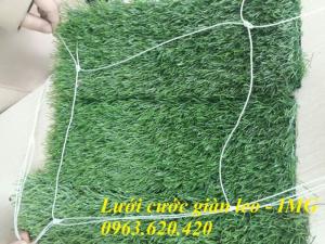 lưới leo giàn cho cây
