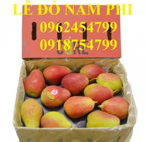 Bán Giống Cây Lê Đỏ Nam Phi, Cây Lê Đỏ, Cây Lê Vàng, Cây Lê Nam Phi, Chuẩn Giống, Giao Cây Toàn Quốc