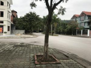 Biệt thự huyện Tiên Du 372m2