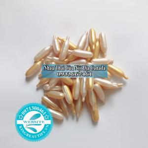 Nhau Thai Cừu 5 Loại Bill Natural Sources, Set 10 Viên Nang