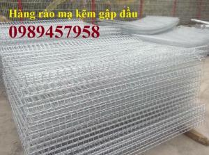 Thi công và thiết kế lắp đặt hàng rào mạ kẽm sơn tĩnh điện phi 5 ô 50x150, 50x200, 100x250