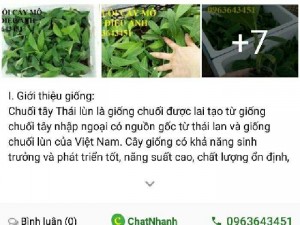 Đẩy tin bán hàng trên mạng Mua Bán Nhanh
