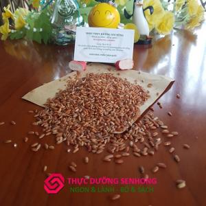 Gạo lứt đỏ 6 tháng hữu cơ, không thuốc trừ sâu, không phân hóa học, không phẩm màu, không chất bảo quản