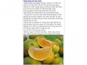 Cam Xoàn nhà trồng, đảm bảo ngon ngọt, hợp VSATTP.