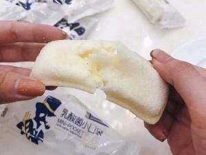 10 Bánh Sữa Chua Horsh (Đài Loan)