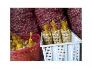 Nho xanh nho đỏ, hành tỏi phan rang