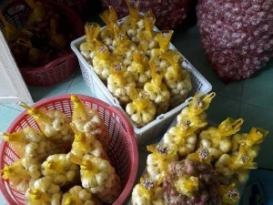 Nho xanh nho đỏ, hành tỏi phan rang