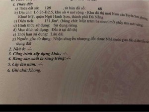 Bán lô đất 2MT Trịnh Lỗi