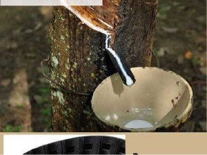 Giày boot nam cao cấp