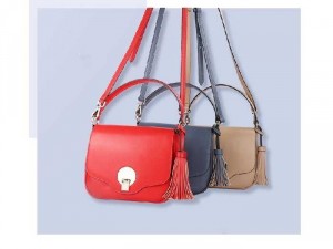 Túi đeo chéo nữ mẫu mới cao cấp