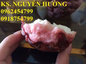 Bán Giống Cây Na Tím, Chuẩn Giống, Hỗ Trợ Kỹ Thuật, Giao Cây Toàn Quốc