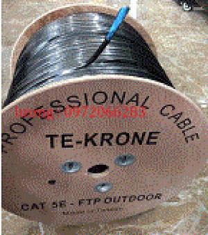 Cáp mạng TE-KRONE Cat5e ngoài trời