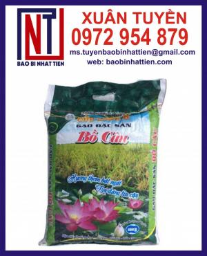 sản xuất bao PP dệt đựng bột mì, gạo