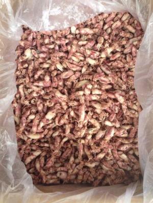 Mực sữa muối đảo Phú Quý
