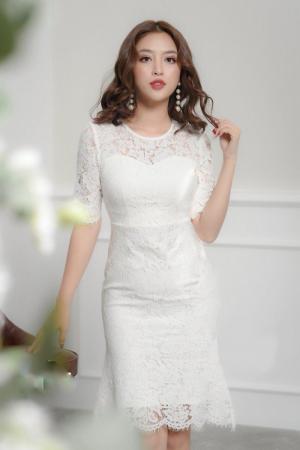 Đầm ren dự tiệc tay lỡ (DB2451)