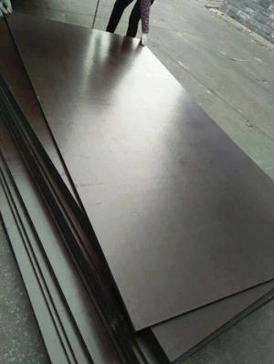 Cốp pha phủ phim ngành xây dựng