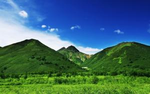 Mẫu tranh phong cảnh ốp tường - gạch tranh 3d