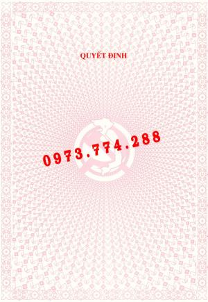 Phôi quyết định