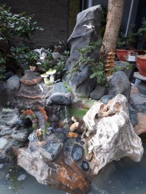 Tiểu cảnh nha trang