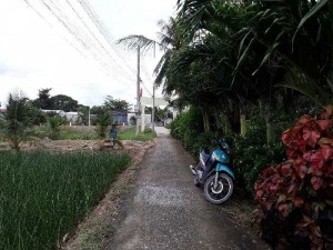 Bán nền thổ cư 350m2 tại An Nhựt Tân.