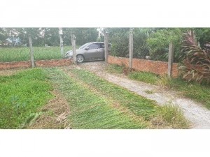 Bán nền thổ cư 350m2 tại An Nhựt Tân.