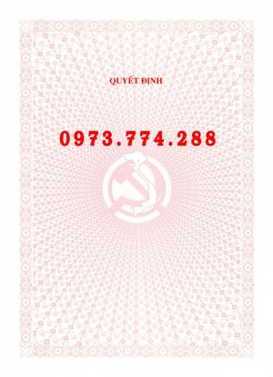 Mẫu phôi quyết định