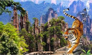 Tranh gạch men 3d hợp tuổi dần