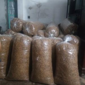 Măng rối số lượng lớn
