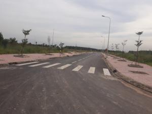 Bán Đất Sổ riêng ngay ngã 3 trà cổ - trảng bom