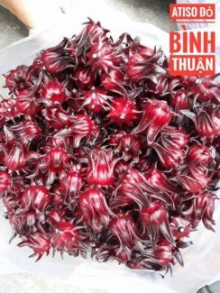 Atiso đỏ sỉ
