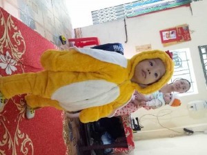 Gà bông đại hàn