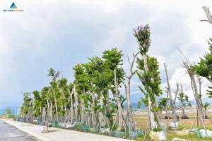 Đất nền biệt thự nghỉ dưỡng kề sông, kề biển