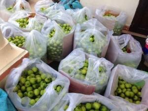 Bán táo đặc sản Ninh Thuận giao hàng tận nơi uy tín chất lượng