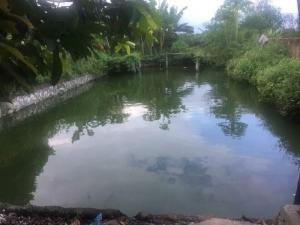 Bán Nhà mặt đường tỉnh lộ 1, gần trung trung tâm huyện Buôn Đôn