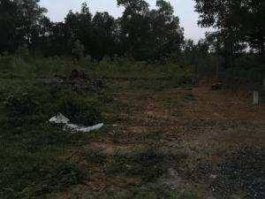 Cần chuyển nhượng lô đất giá rẻ phường 4 đường Quốc Lộ 9