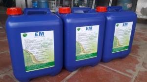 Chế phẩm sinh học Emina - EM gốc - Đại học Nông nghiệp 1 Hà Nội