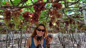 Tour Du Lịch Đảo Bình Hưng Tết Nguyên Đán 2019