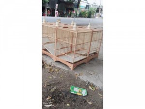 Bán lồng chim