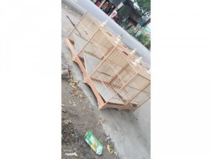 Bán lồng chim