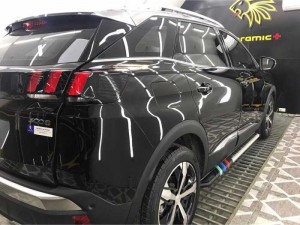 Bệ bước Sport cho Xe 3008 & 5008 Peugeot Pháp