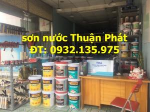 Đại lý phân phối sơn Toa giá rẻ ở Bình Dương, HCM - Sơn nước Thuận Phát