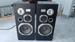 Loa Pioneer S-Y7 - pioneer y7