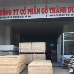 Thông ghép thanh 12BC