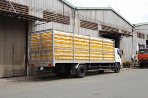 Xe tải Hino chở gia cầm 8 tấn, trả trước 100 triệu giao xe ngay - Gọi 0978015468 (MrGiang 24/24)