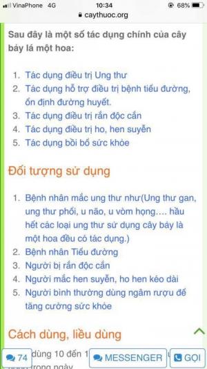 Thất Diệp Nhất Chi Hoa (Cây Bảy Lá 1 Hoa)