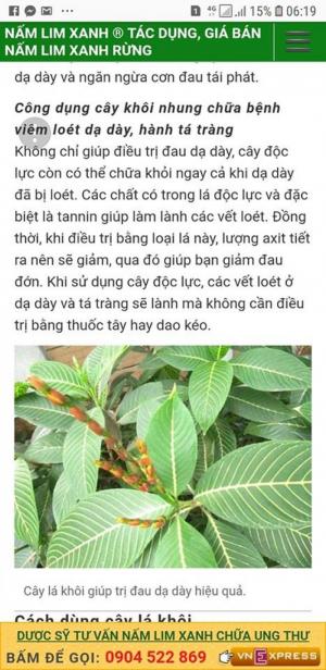 Tinh Bột Lá Khôi Mật Ong Chuyên Trị Đau Dạ Dày, Tá Tràng